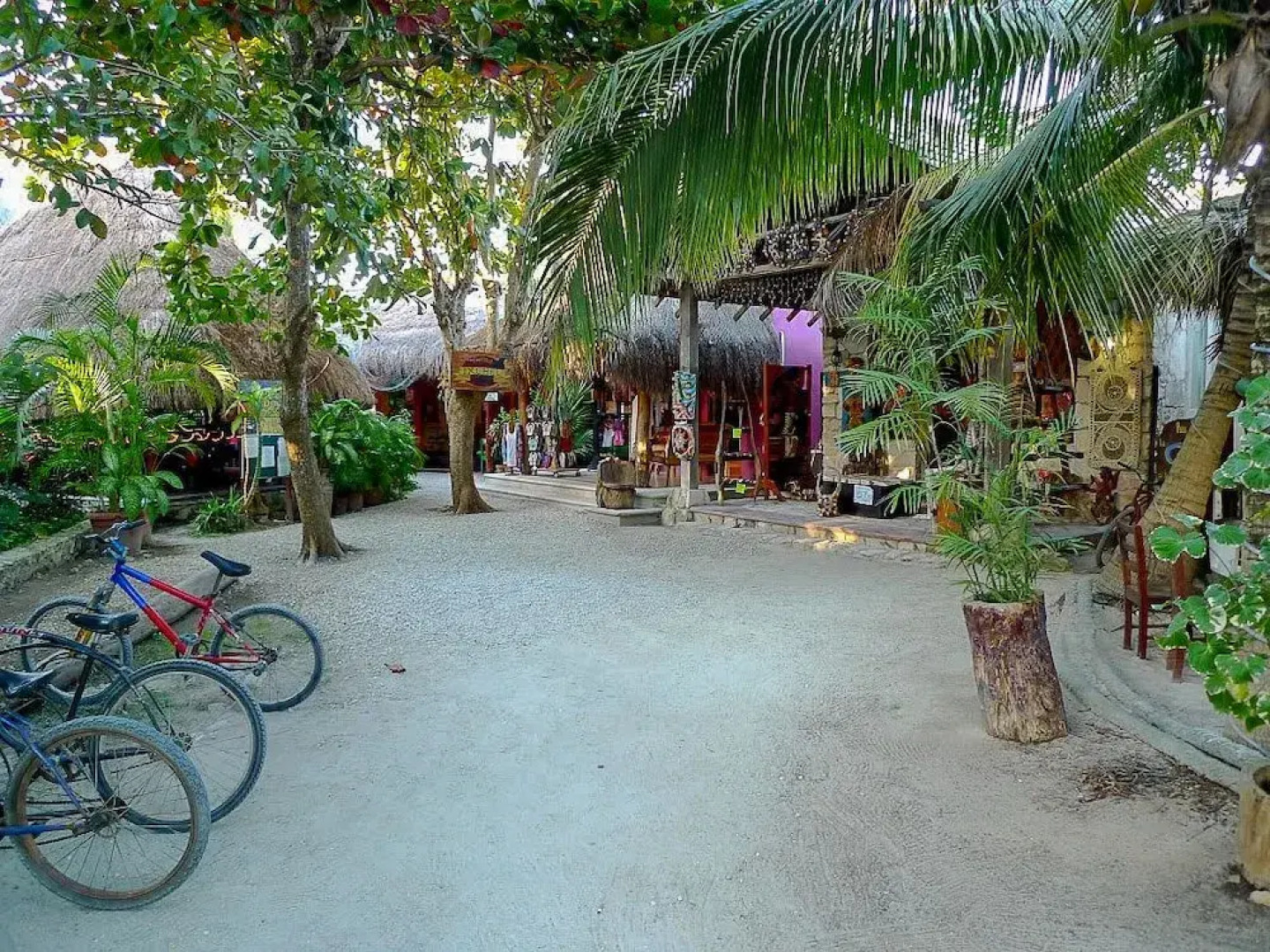 Casa Ave, Luxury & Resort Living