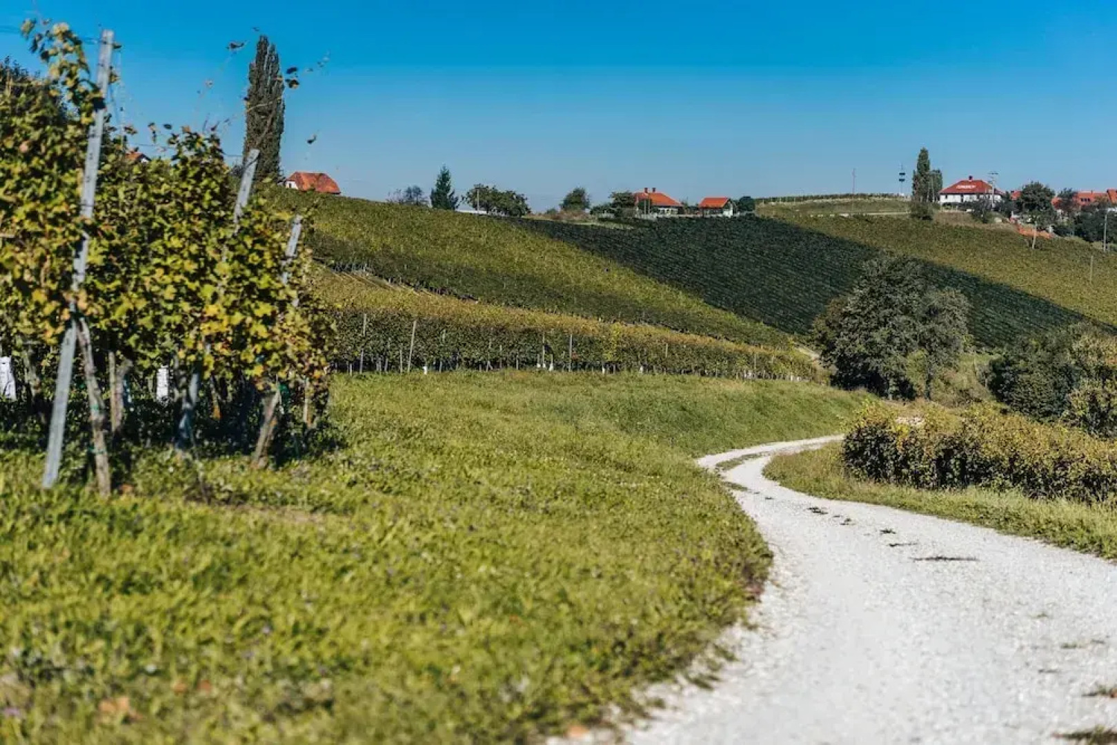 Podhamer Wellness Vineyard Cottages