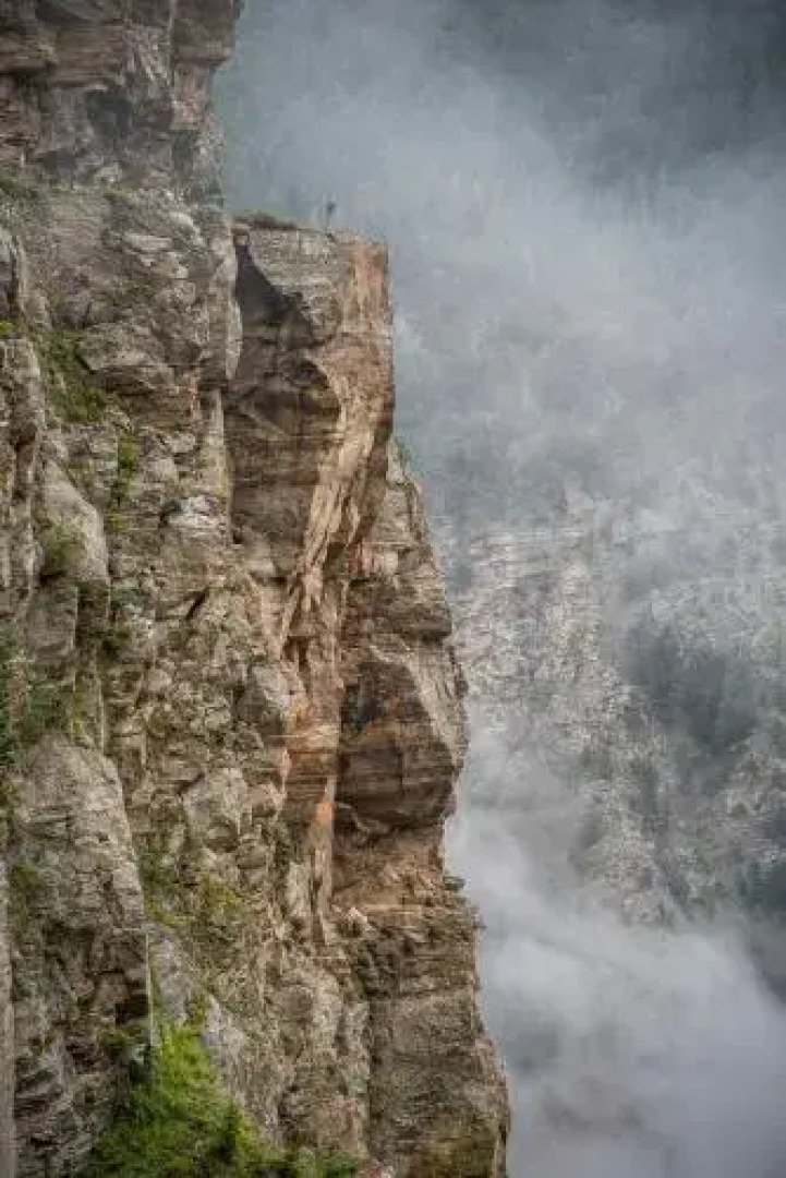 The Monk by Livingstone