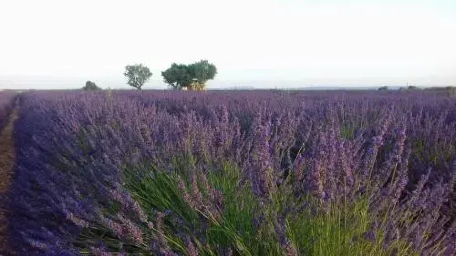 Suite Privé Chez Dunja