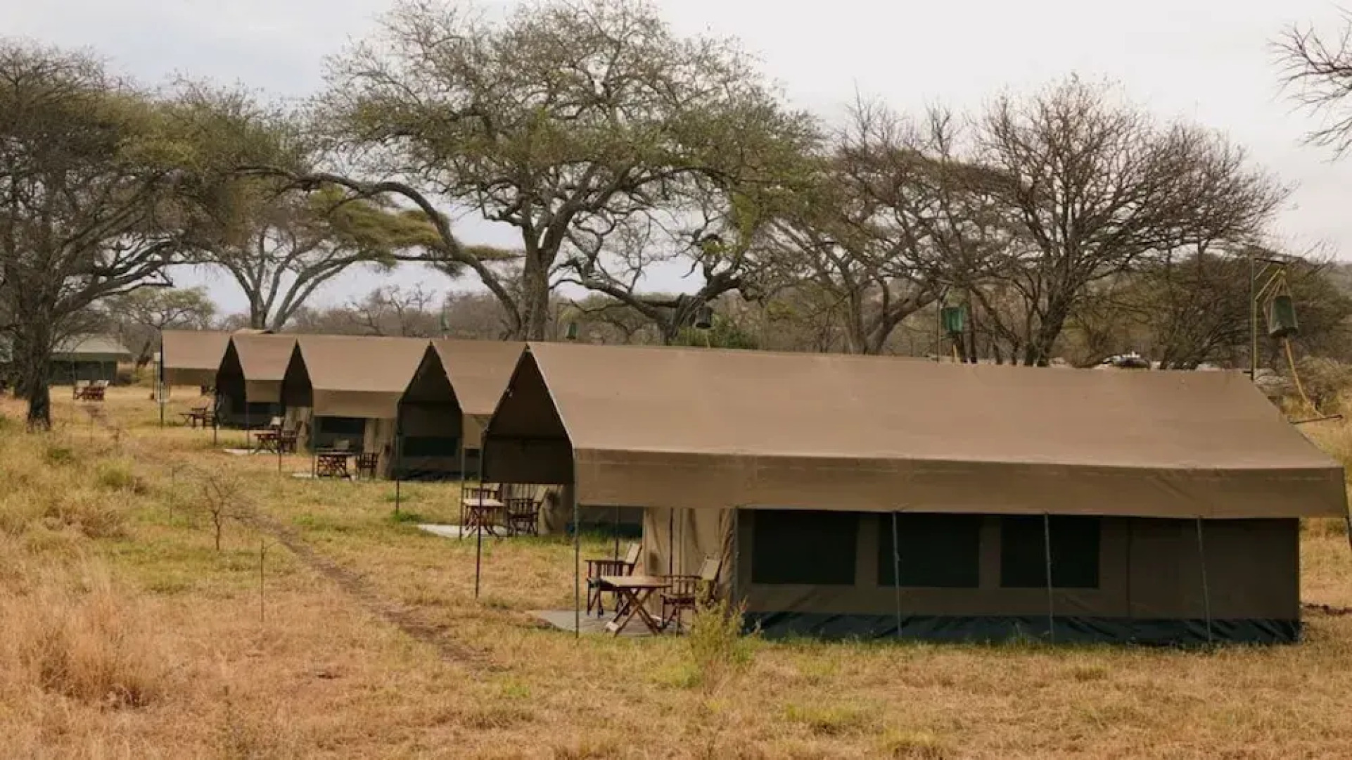 Rongai Eleven Serengeti Camp