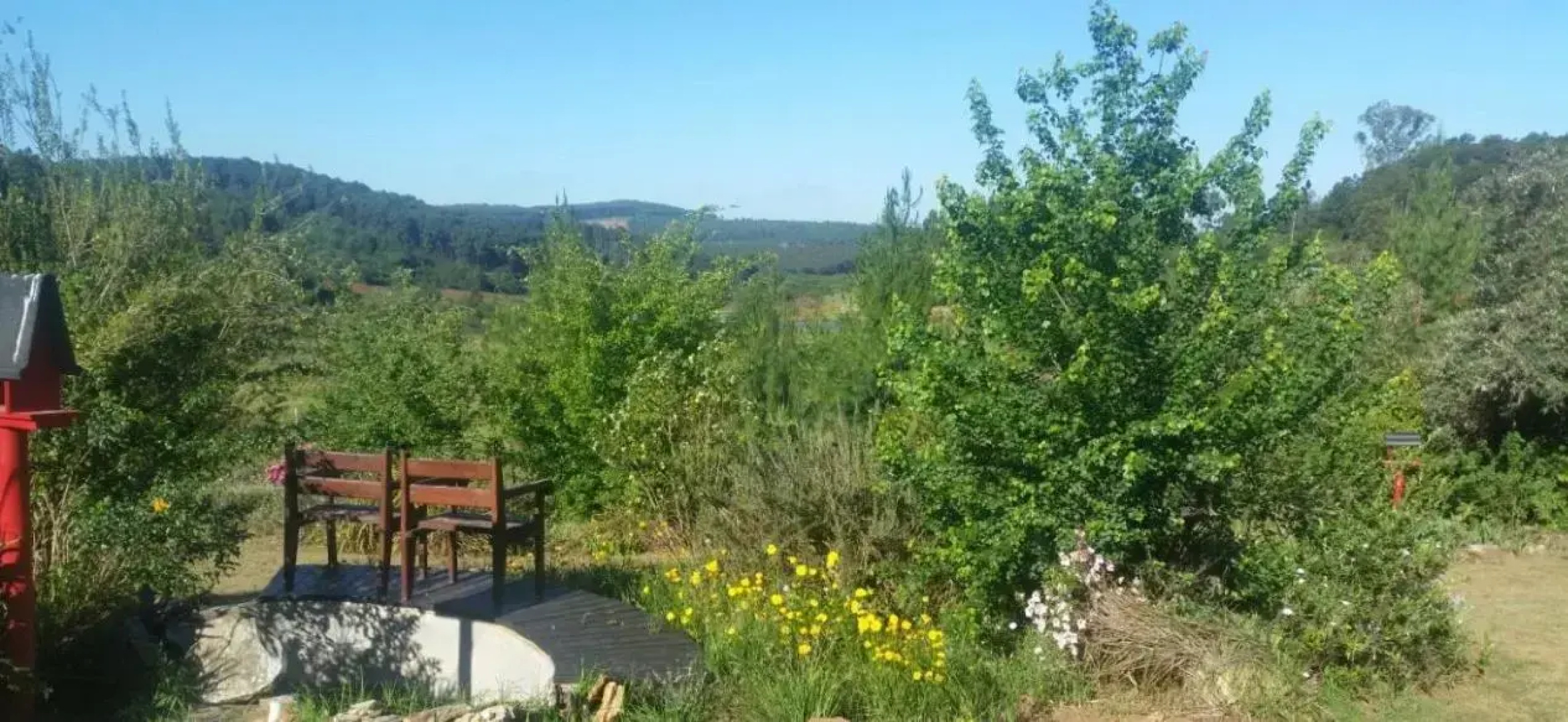 Woodcutters Guest House & Cottage