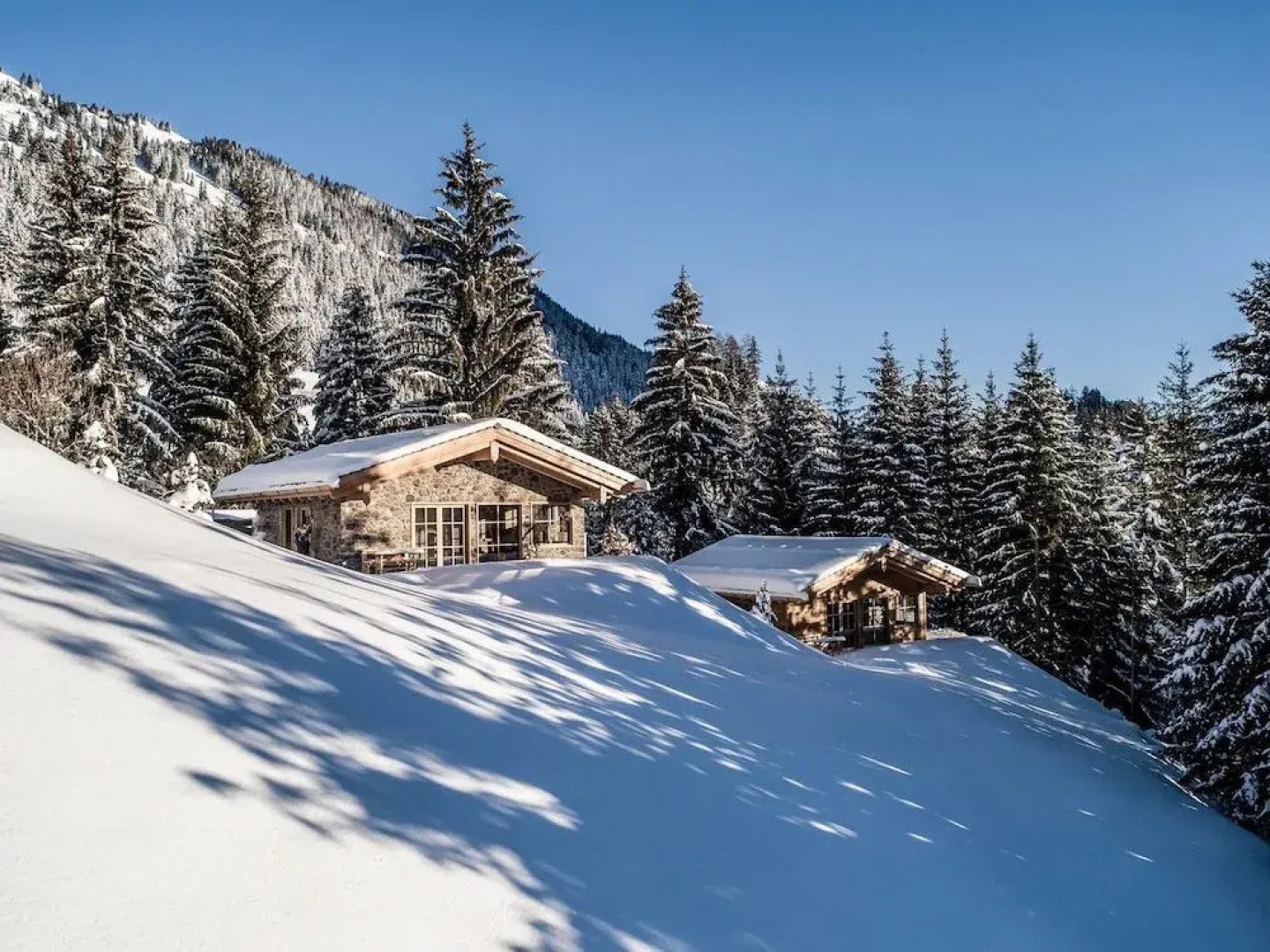 Benglerwald Berg Chaletdorf