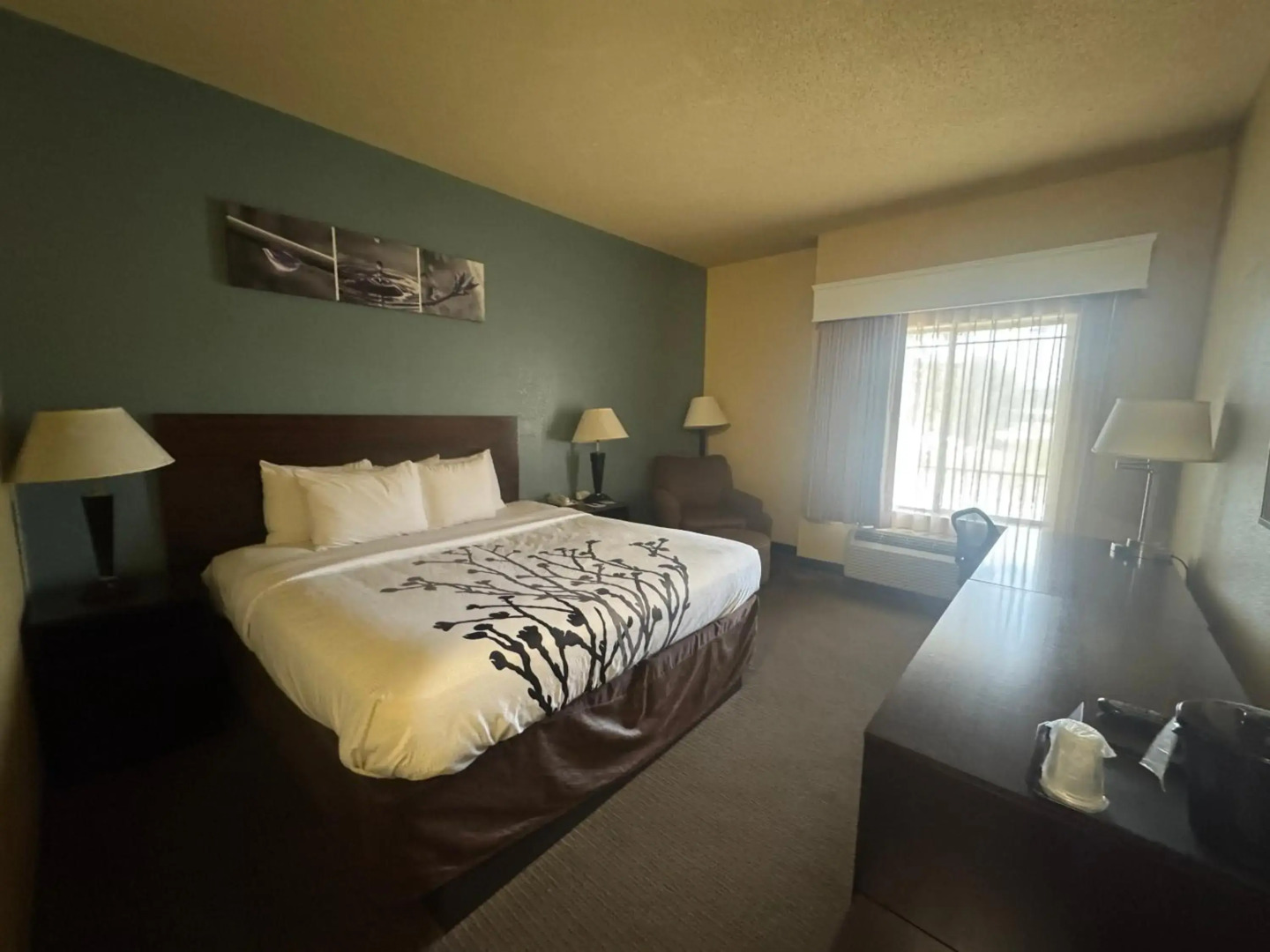 Sleep Inn & Suites Hattiesburg North