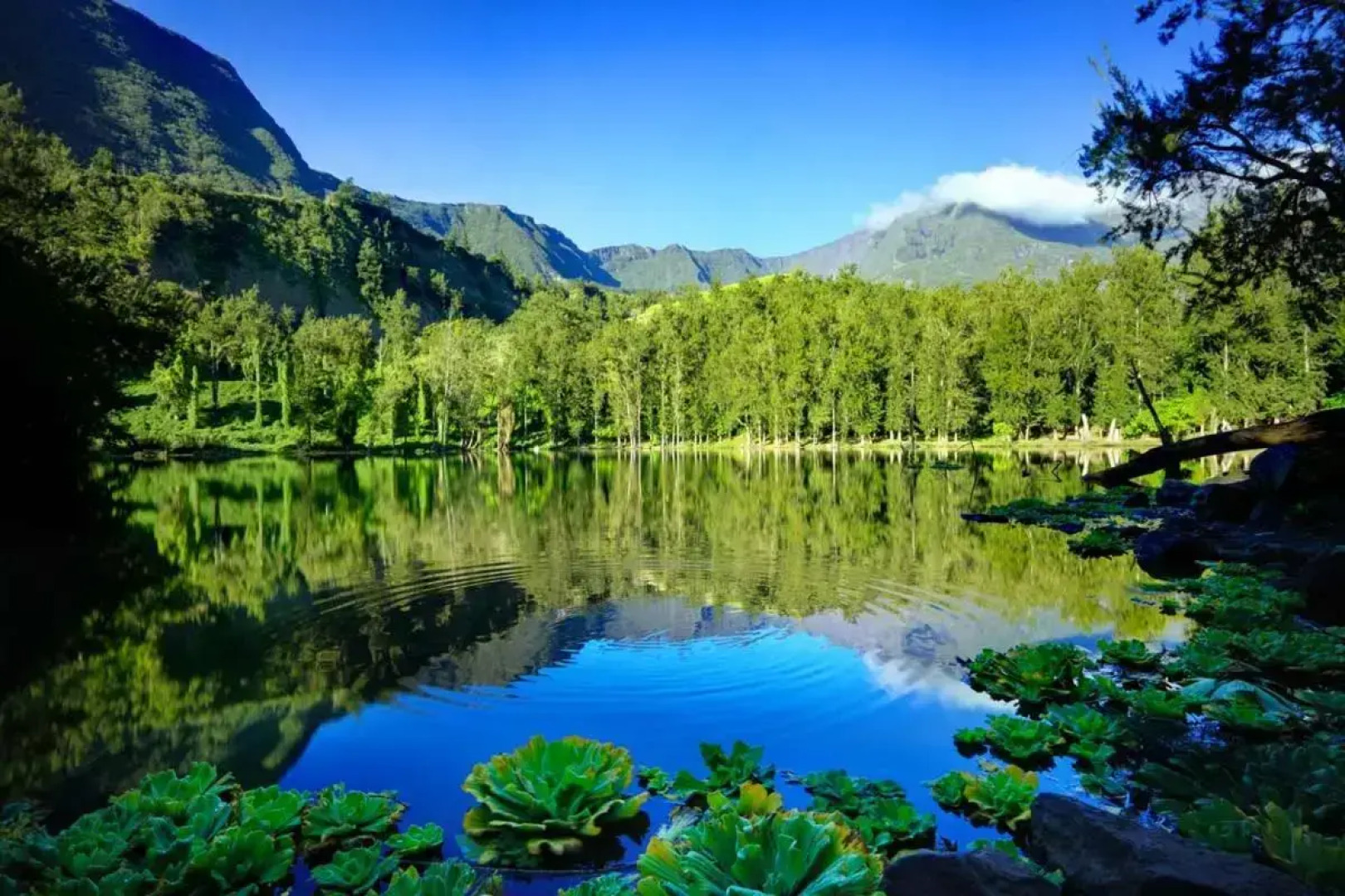 The Seven Motel Salazie à 15 min d'hell bourg