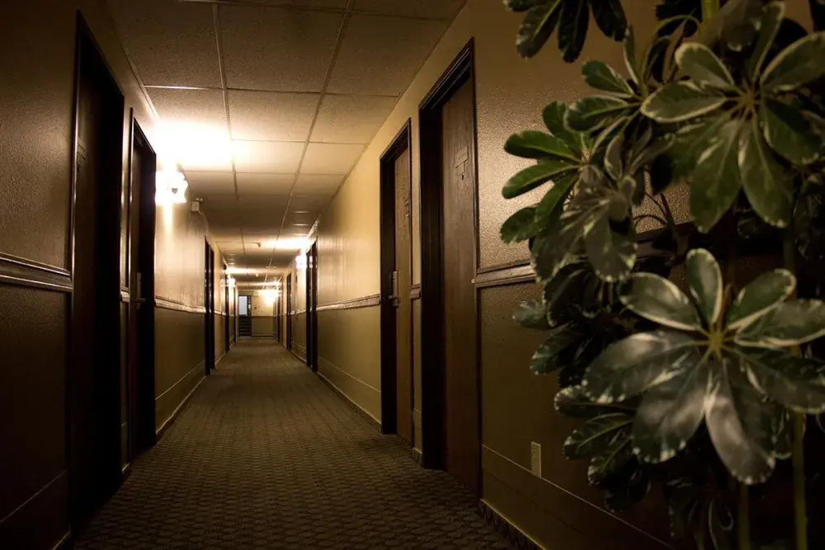 FairBridge Inn & Suites Kellogg