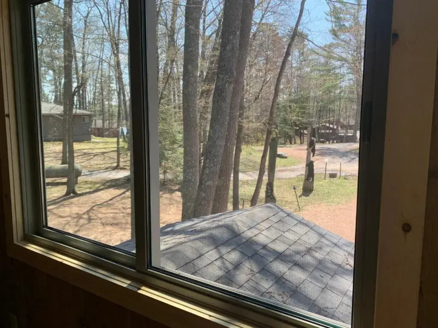 Black Bear Lodge Bear Trap #1