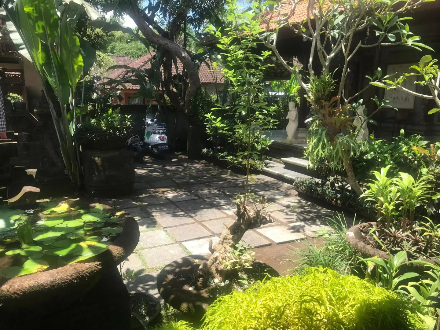 Arsa Wayan Guest House