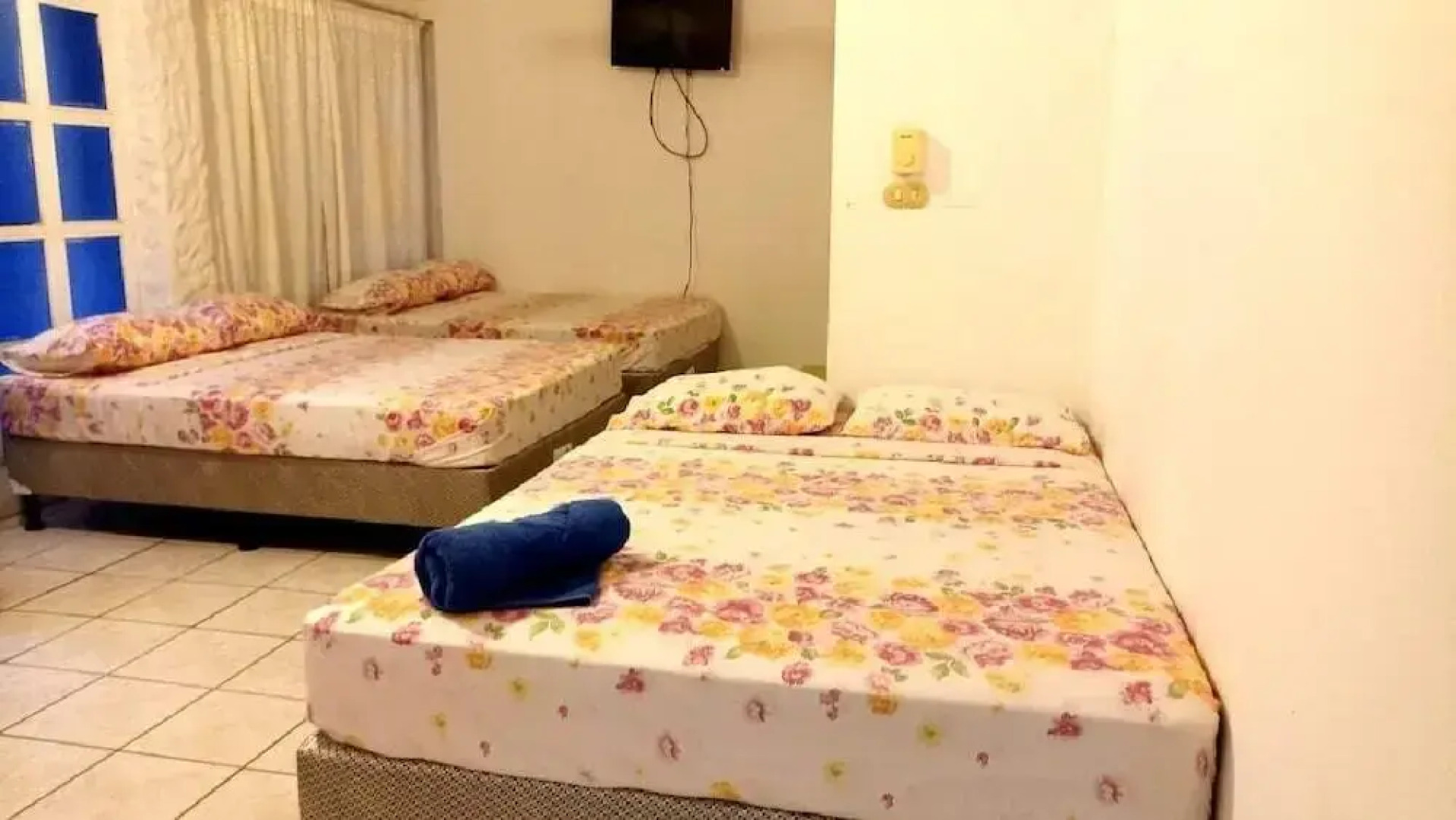 Tropical Gardens Green Turtle