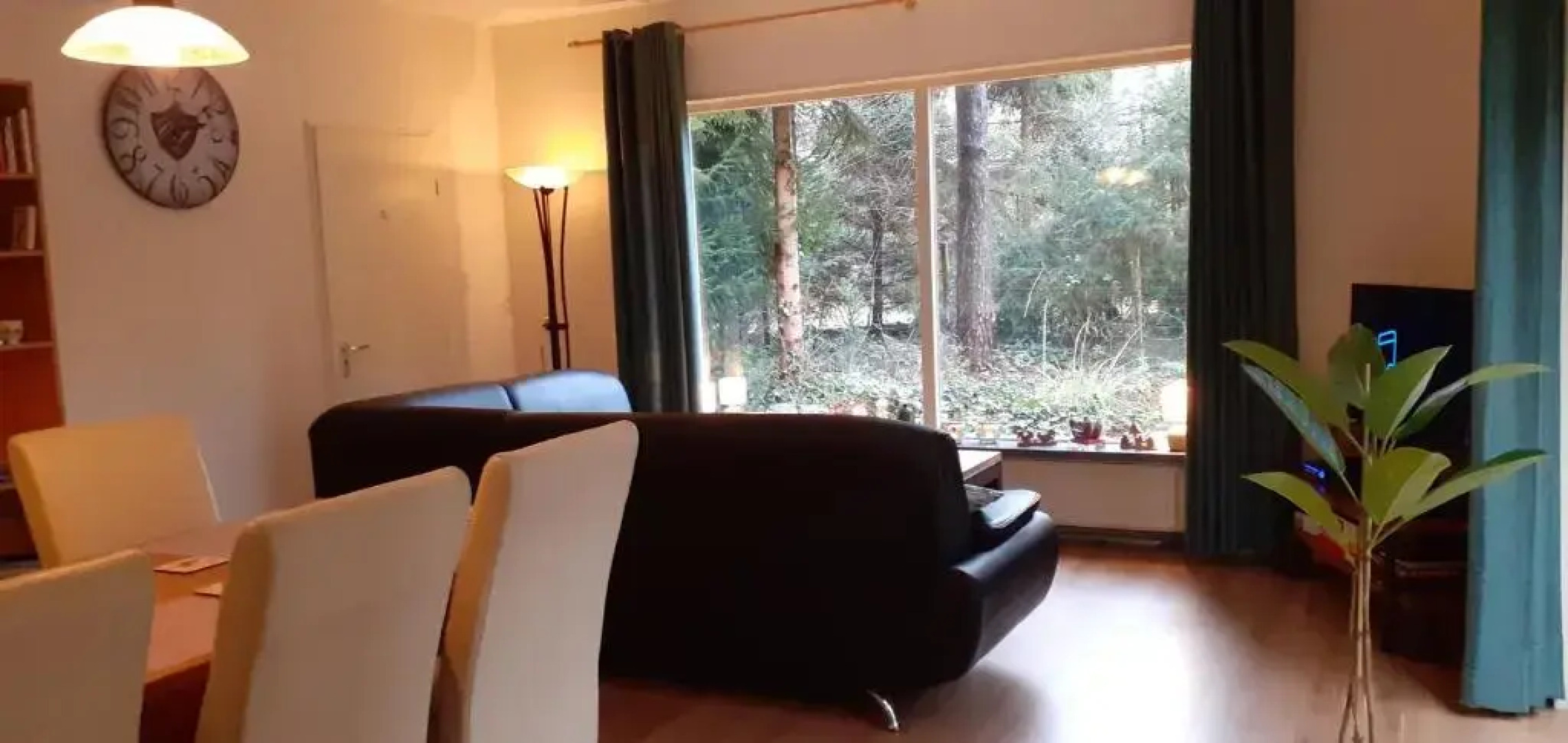 Drentse bungalow in natuur en rust