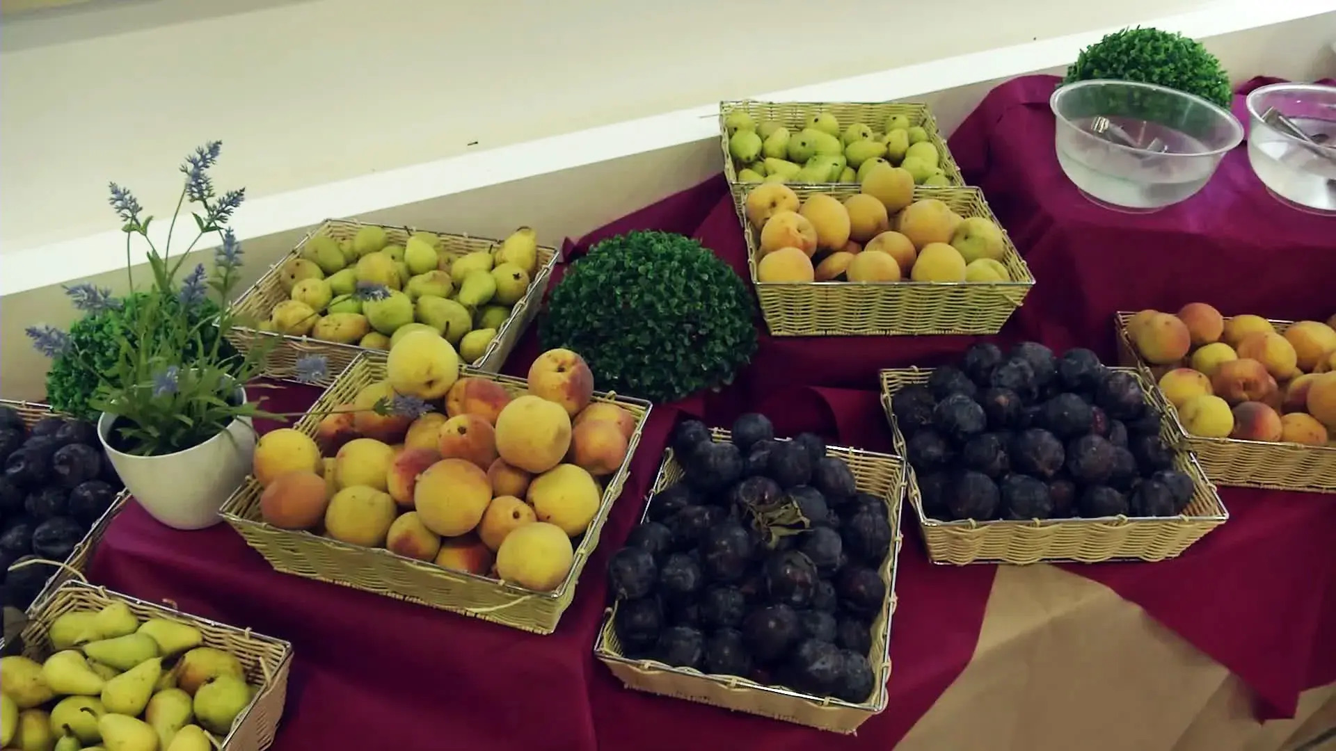 I Giardini di Athena – Athena Resort