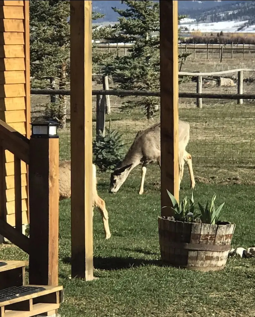 Z Bar Z Ranch Guest Loft