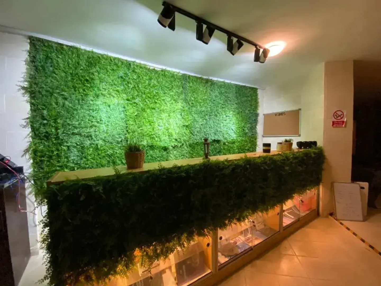 Blue Vision Hotel & Diving College