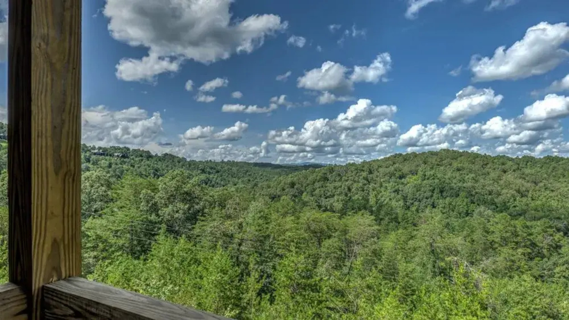 4 Leaf Clover by Escape to Blue Ridge