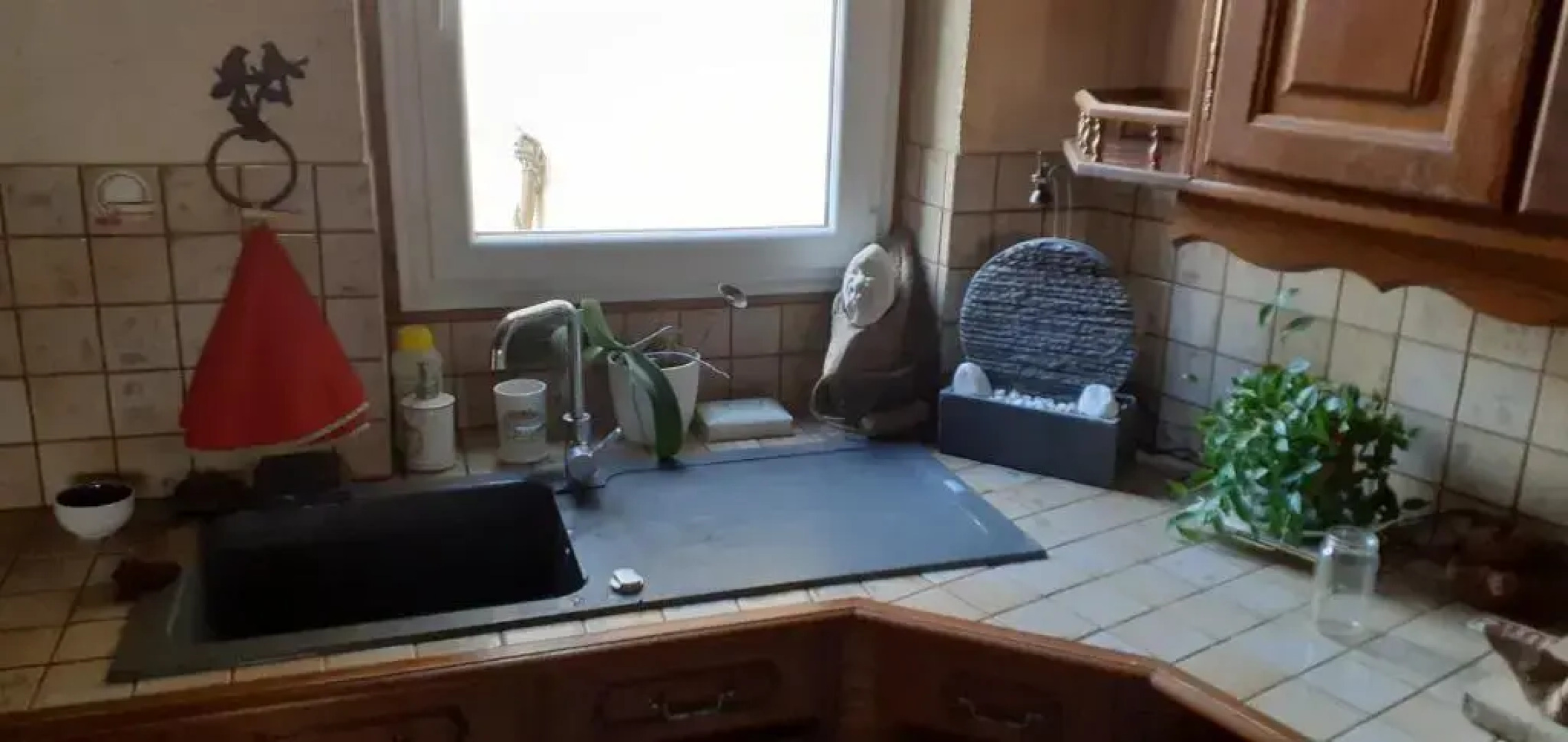 Les Campanules - Neuvy en Sullias