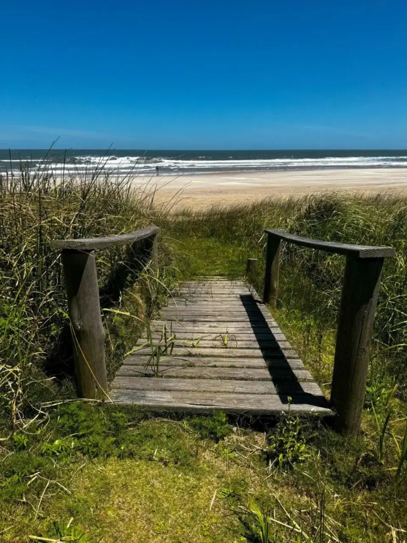 La Paloma Del Mar Apart