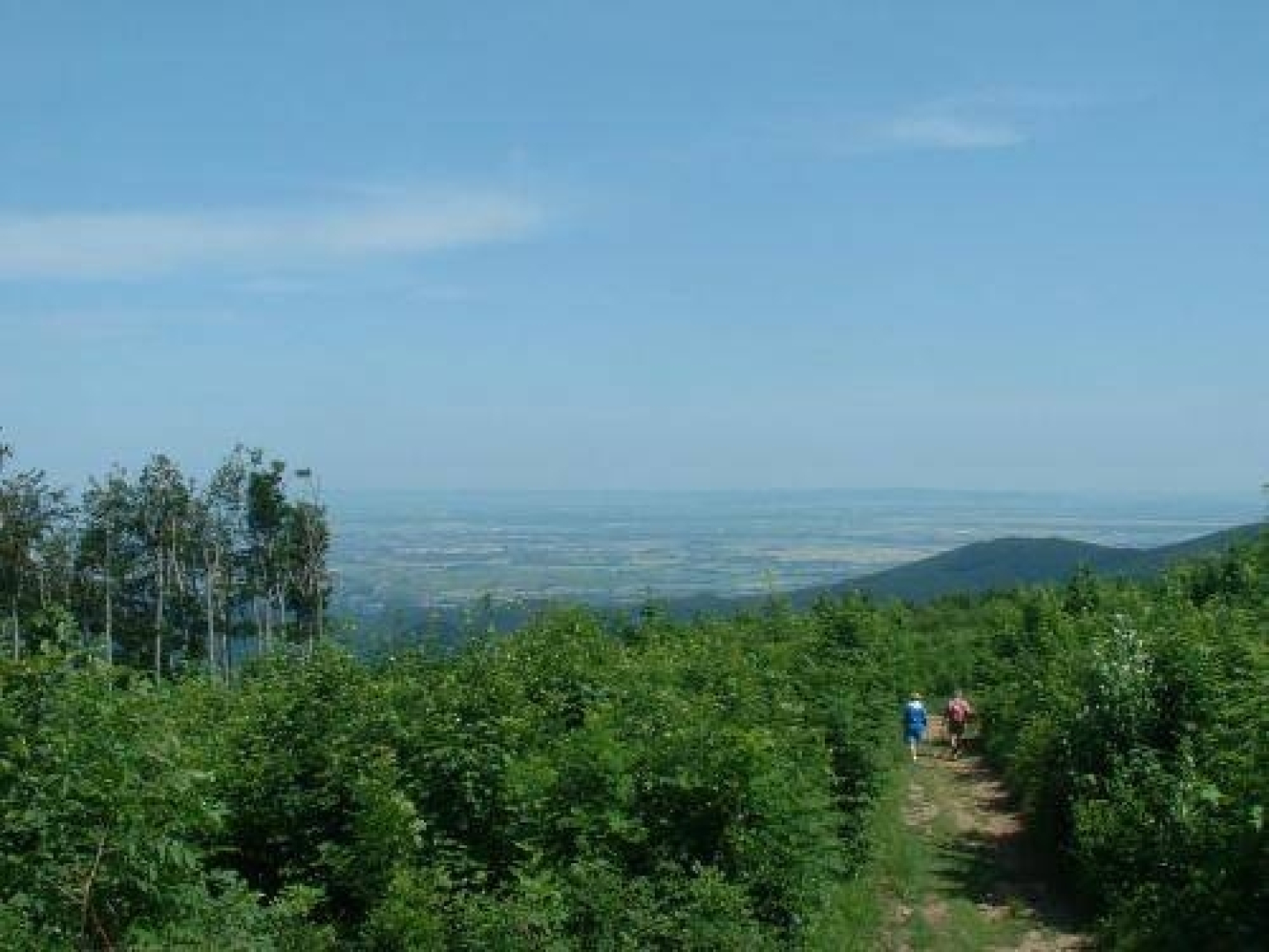 Hotel-Gasthof Martinek