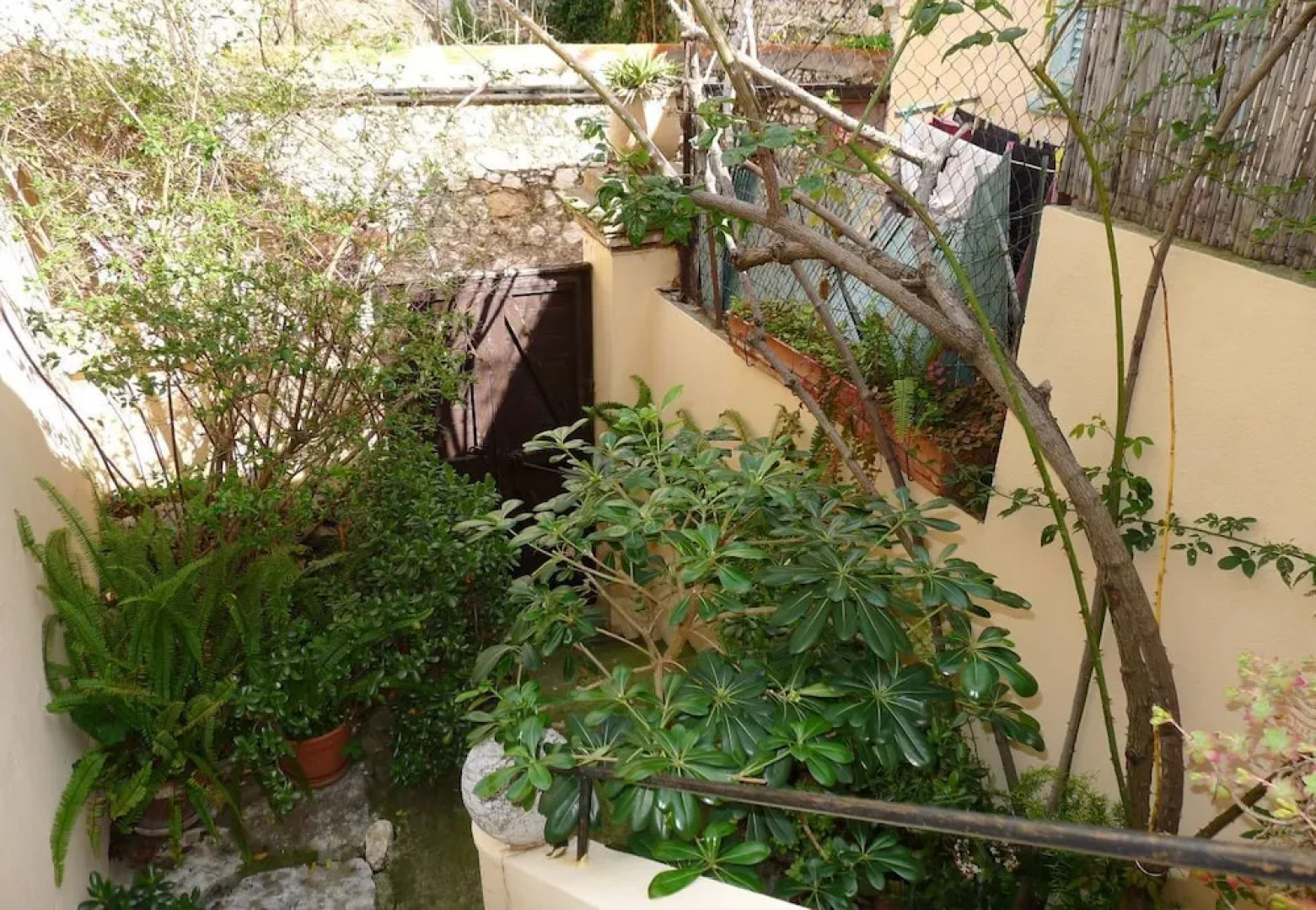 Maioun Villefranche AP4121