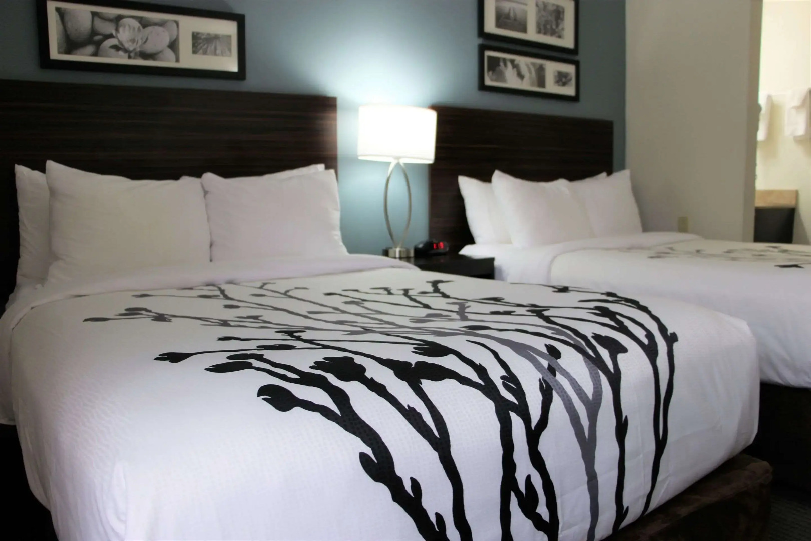 Sleep Inn Chattanooga Hamilton Place