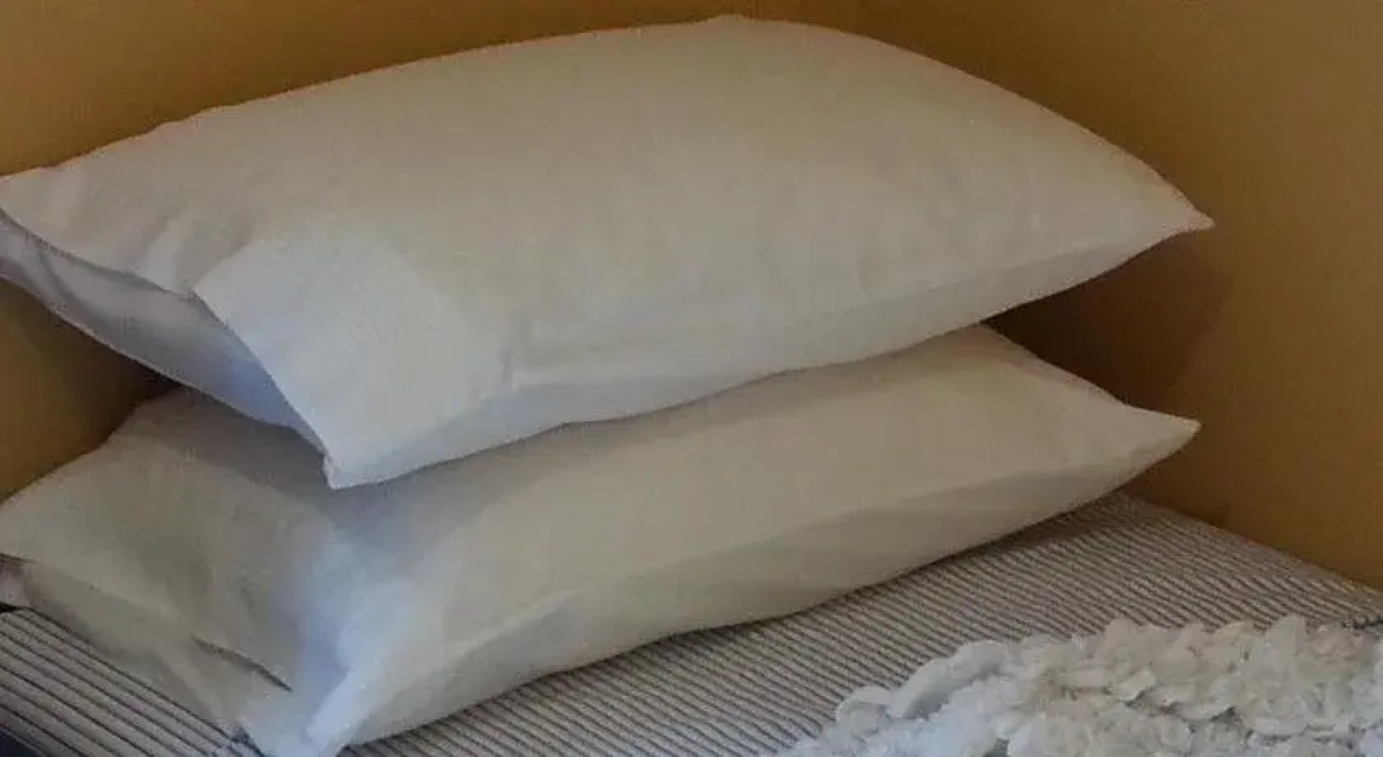 Sydney Airport Executive Homestay