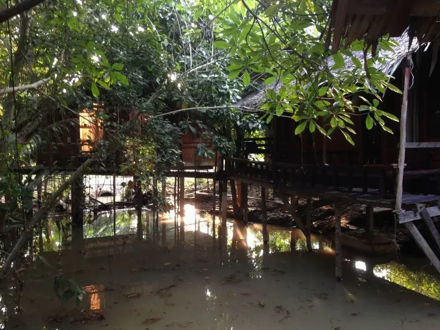 Mayom Garden