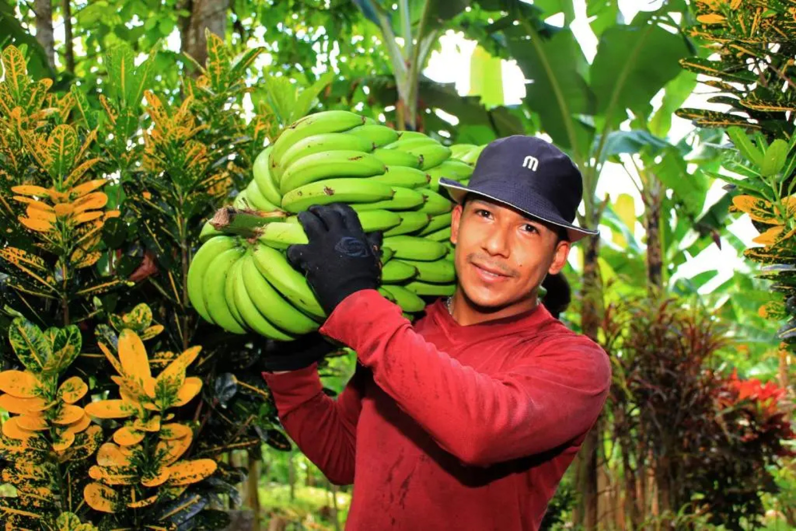 Natura Gardens Galápagos Hotel