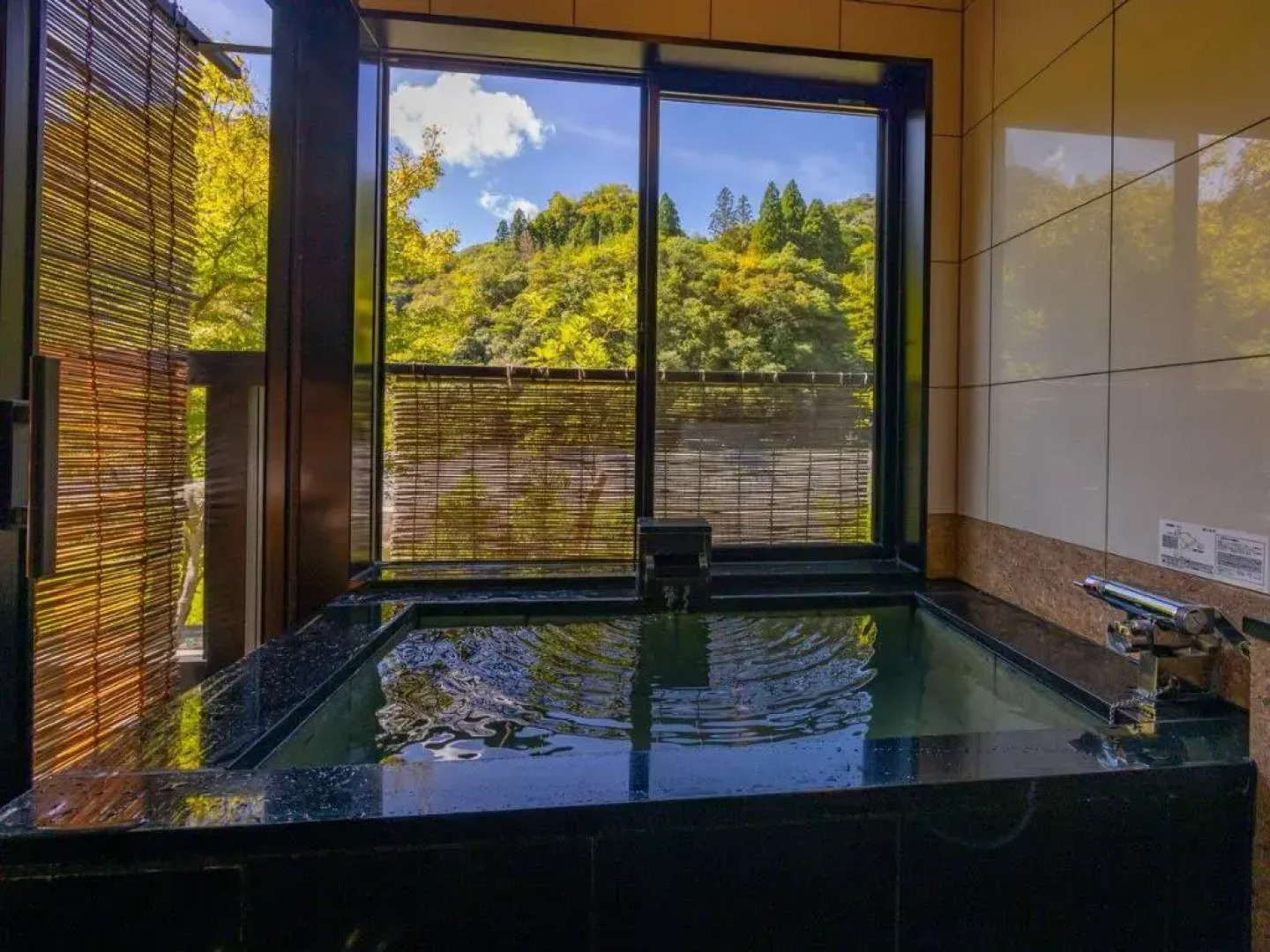 Takedao Onsen Koyokan Bettei Azale
