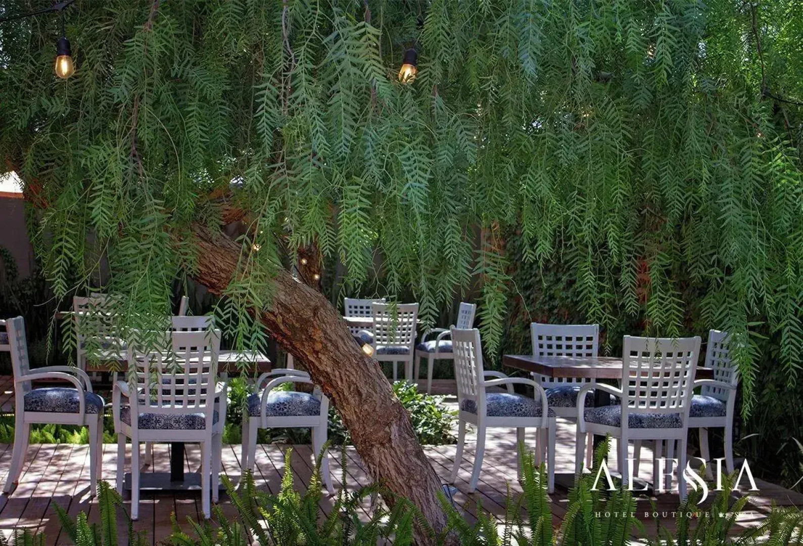 Alesia Hotel Boutique & Spa