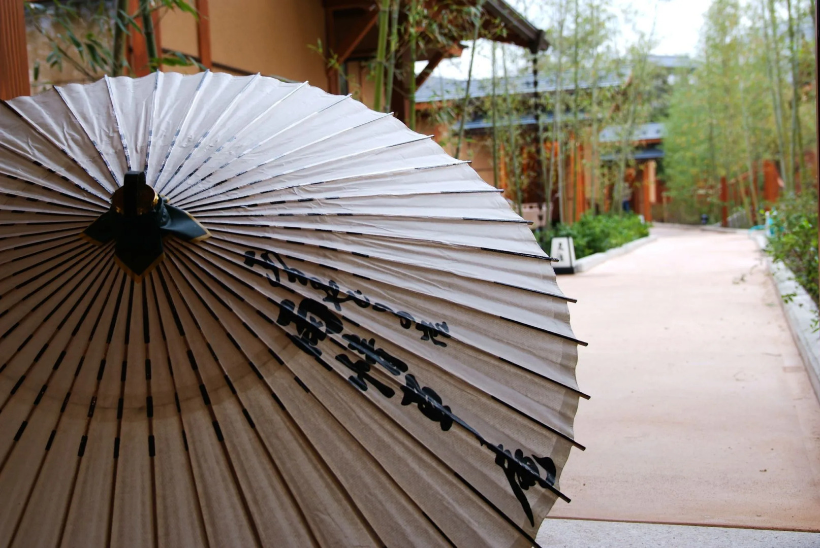 Amayadori no Yado Ujo Soan