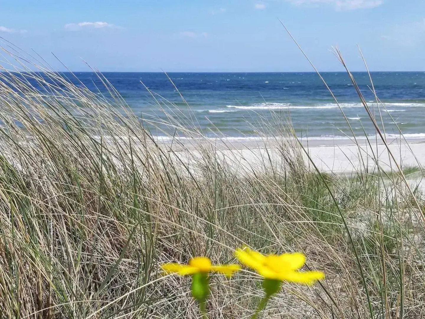 Cozy Holiday Home in SÃ¦by near Beach