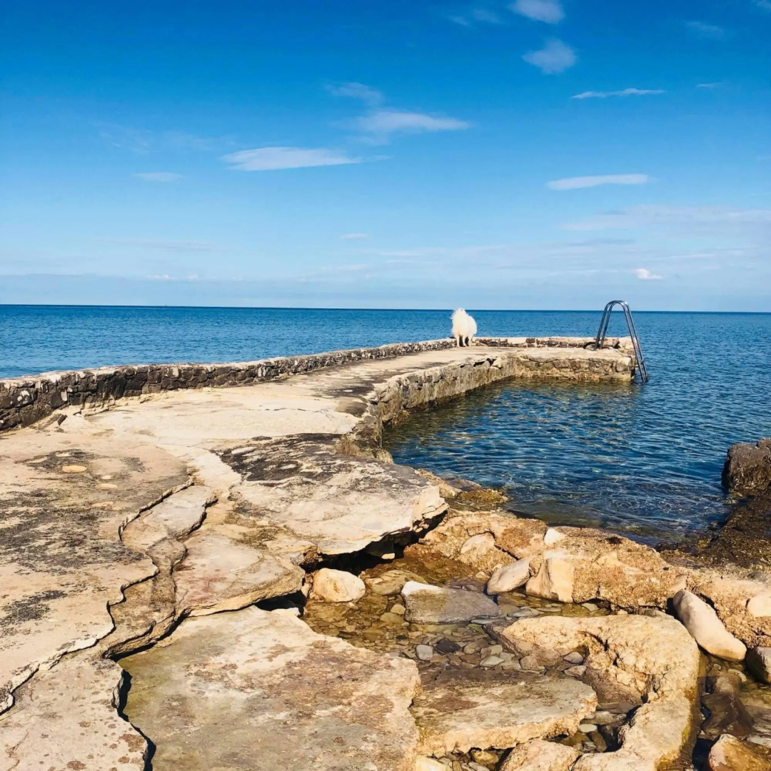 Nata a - A4(4) in Umag