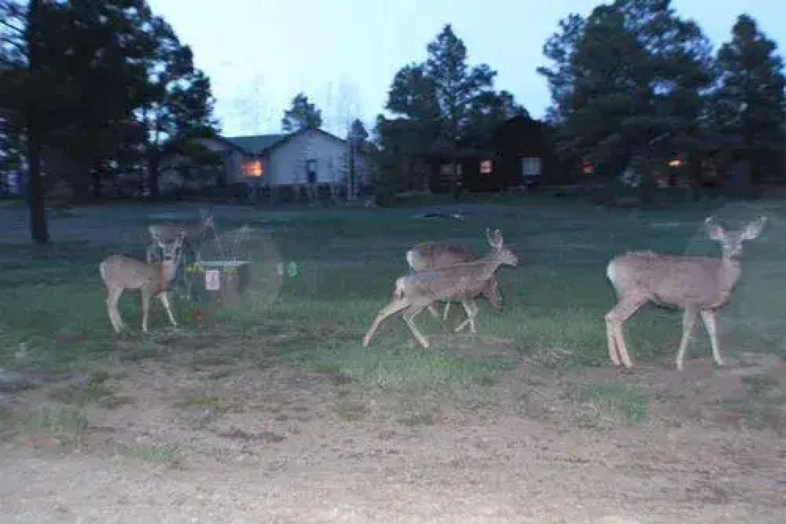 Pine Vista 3 Br Home by RedAwning
