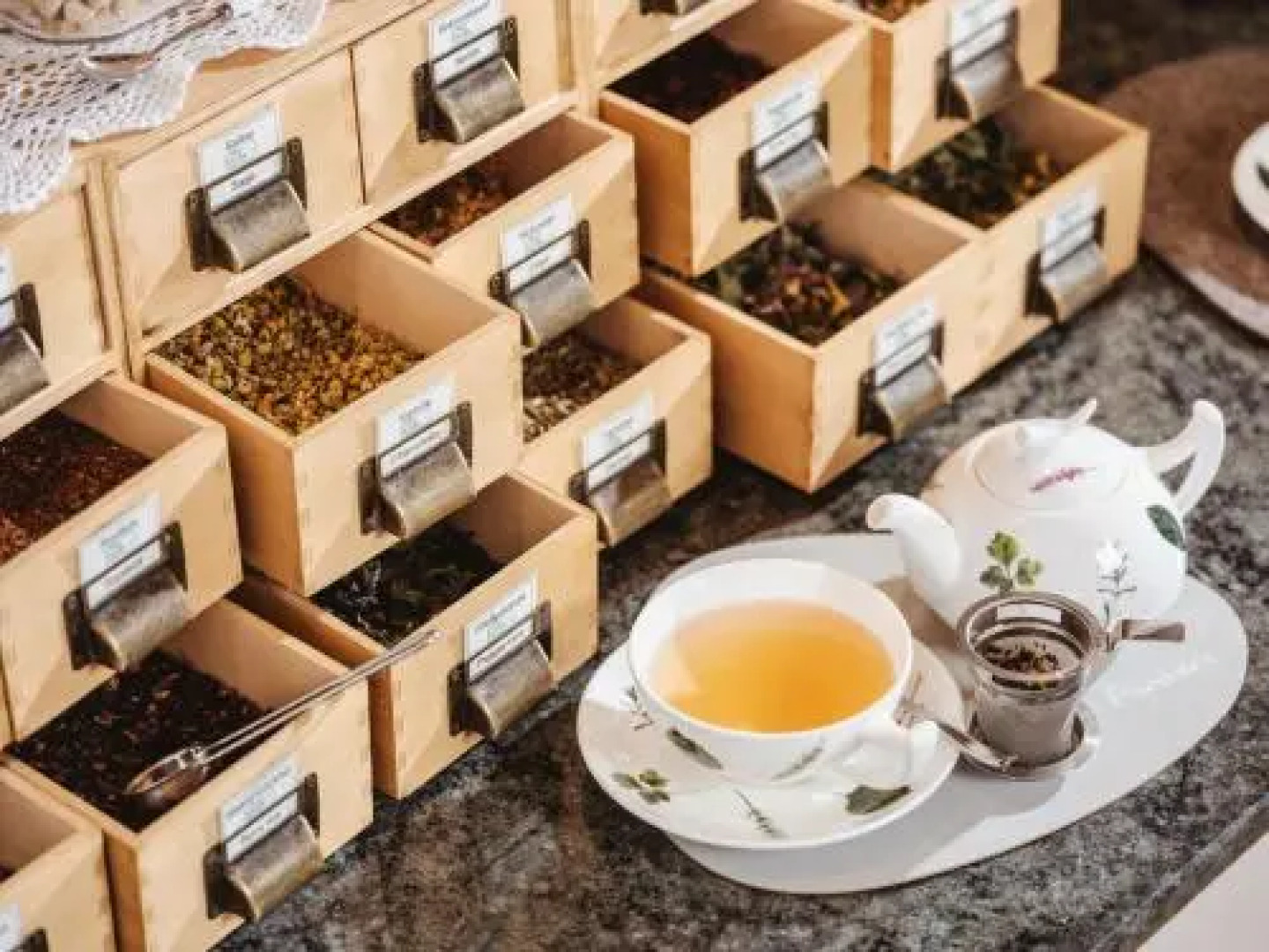 Forster’s Naturresort