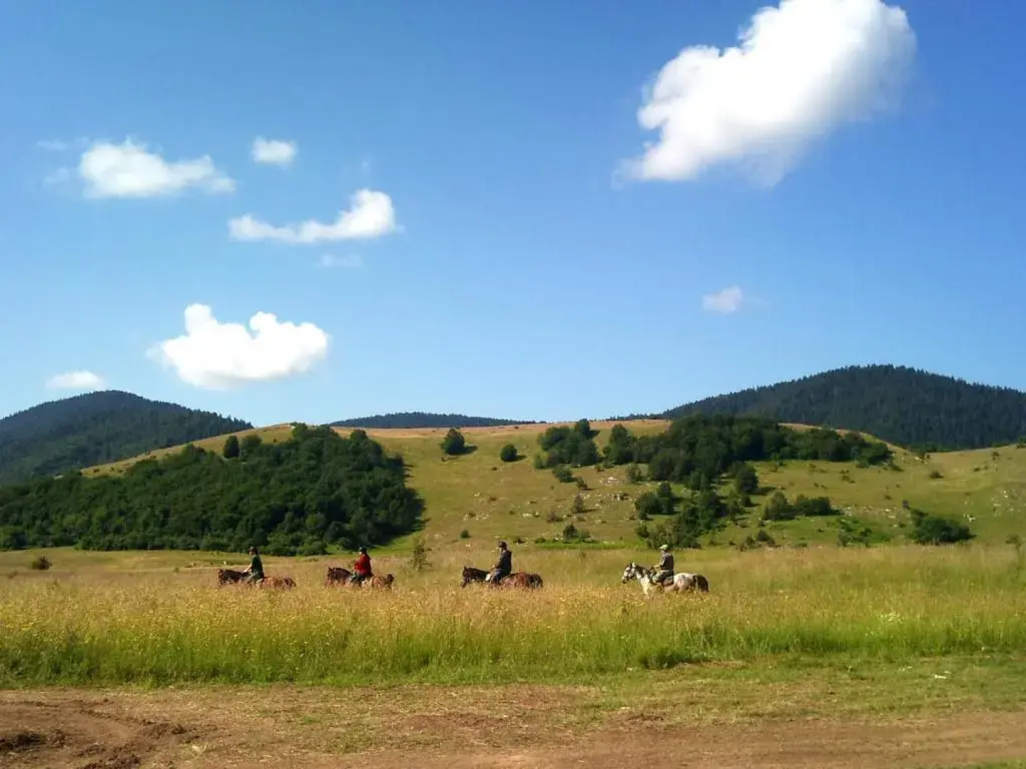 Guest House Šumski dvor
