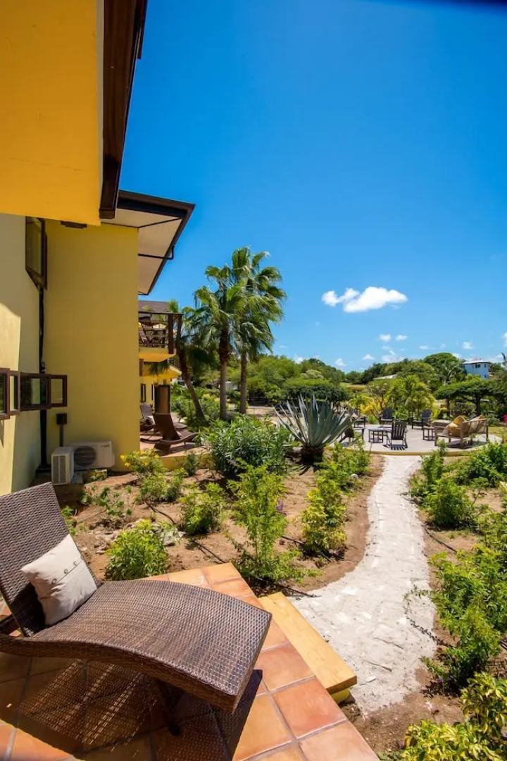 Cornucopia BVI