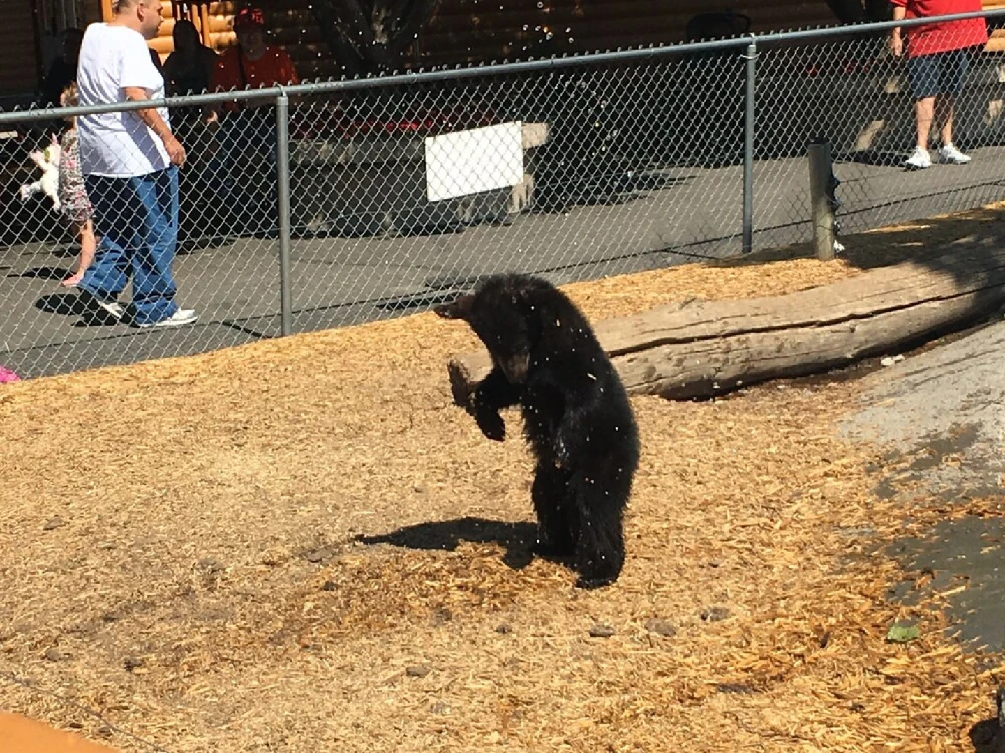 Kasper's Kountryside Guest Home