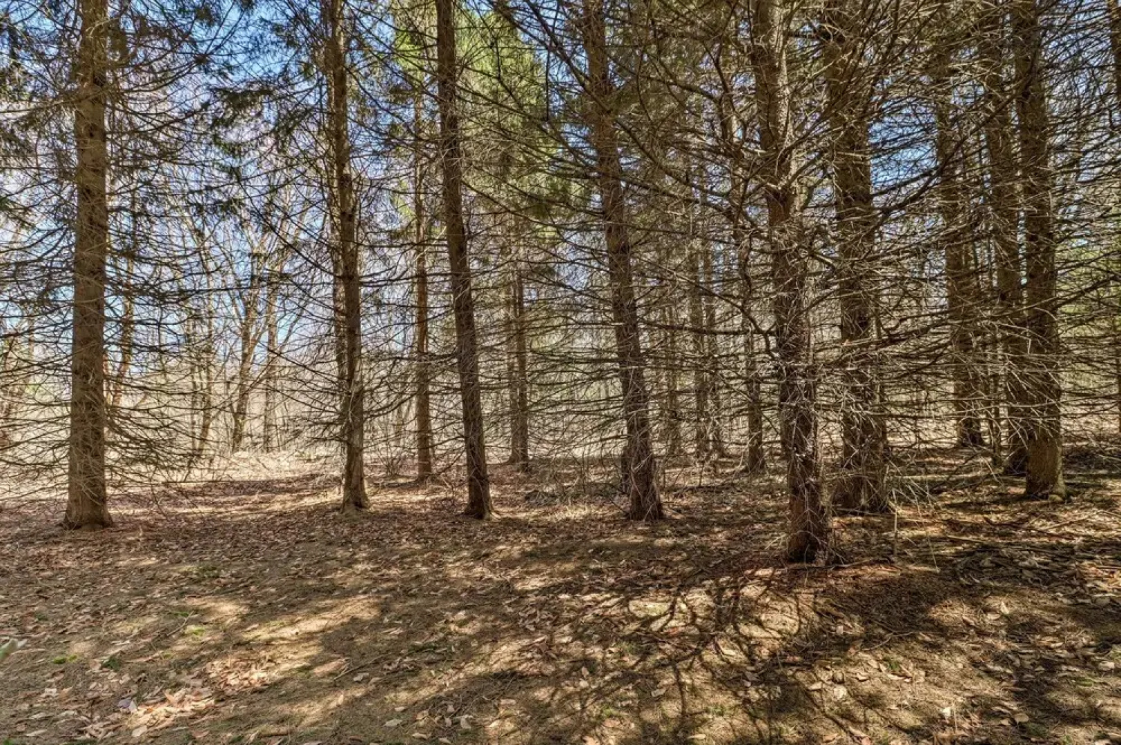 3 Mi to Lake: Spacious Tobyhanna Home & Guest Home