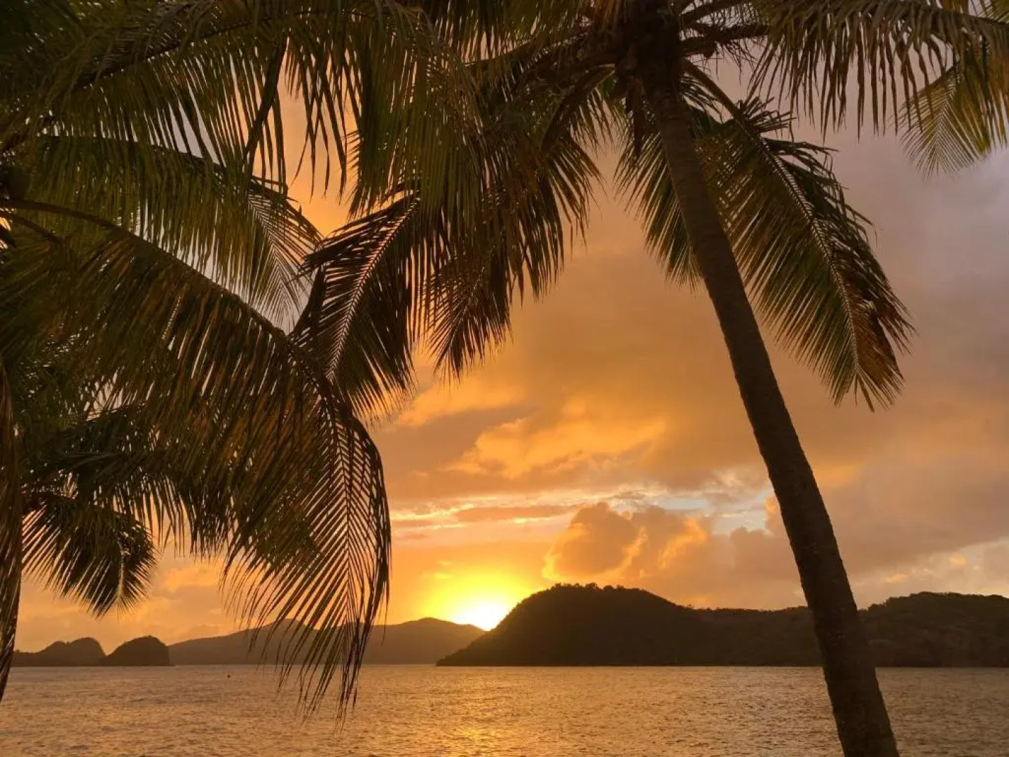 Bungalow Anolis Face a la Mer a 2 Min de la Plage.