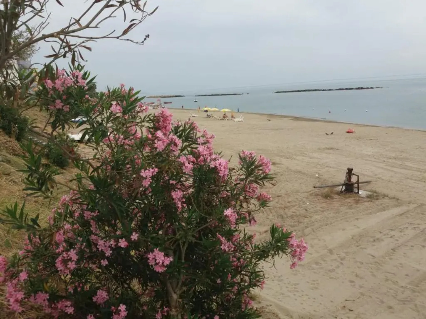 Appartamento in villa Nicola's house