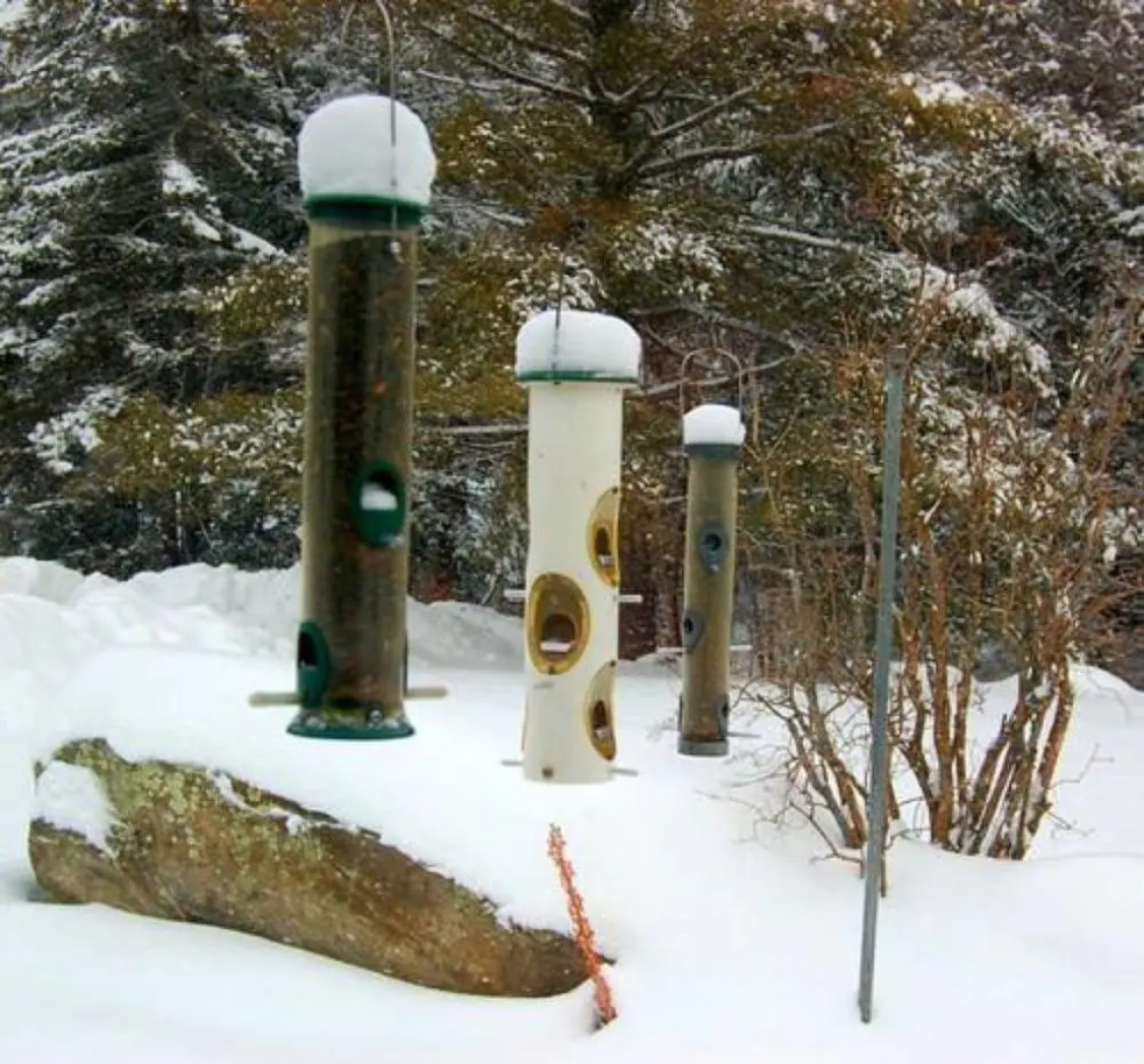 Swiss Inn & Restaurant