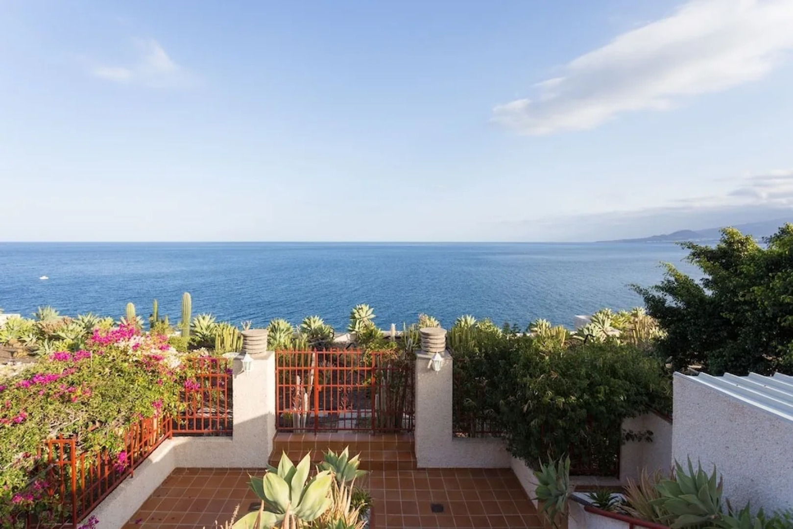 Live Tabaiba Maritime Avenue