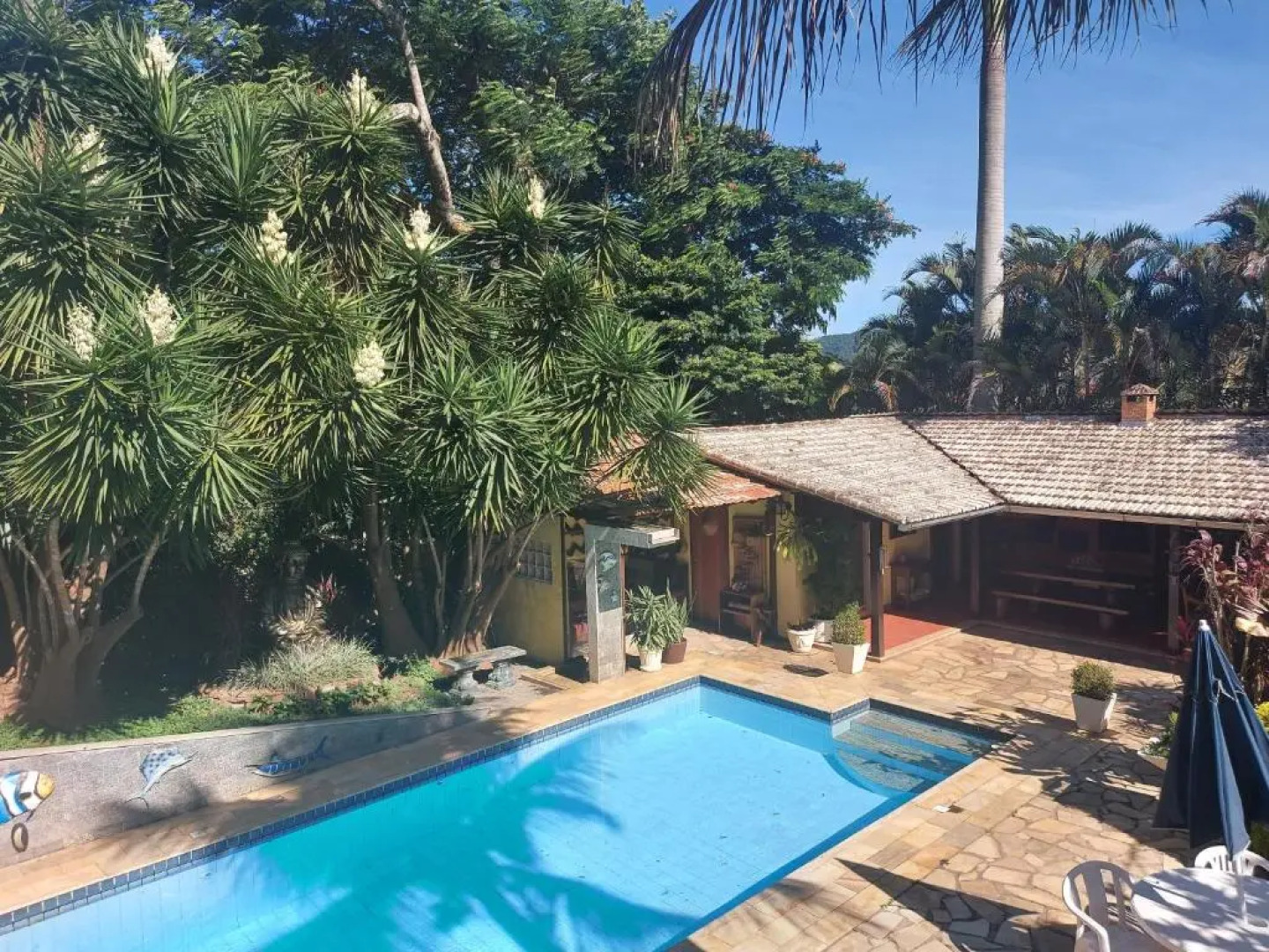 3 Palmeiras Guest Lounge