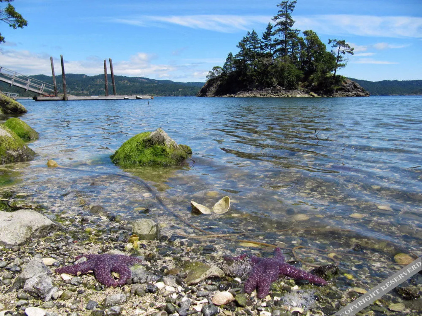 Madrona Cottage by BC Island Vacation Homes
