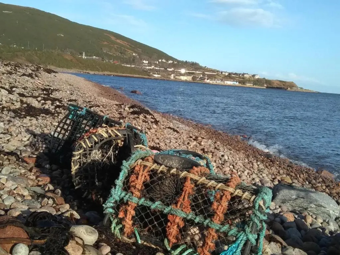 The Tall Pines Studio