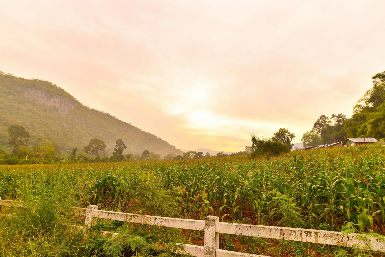 Family Resort Khaoyai