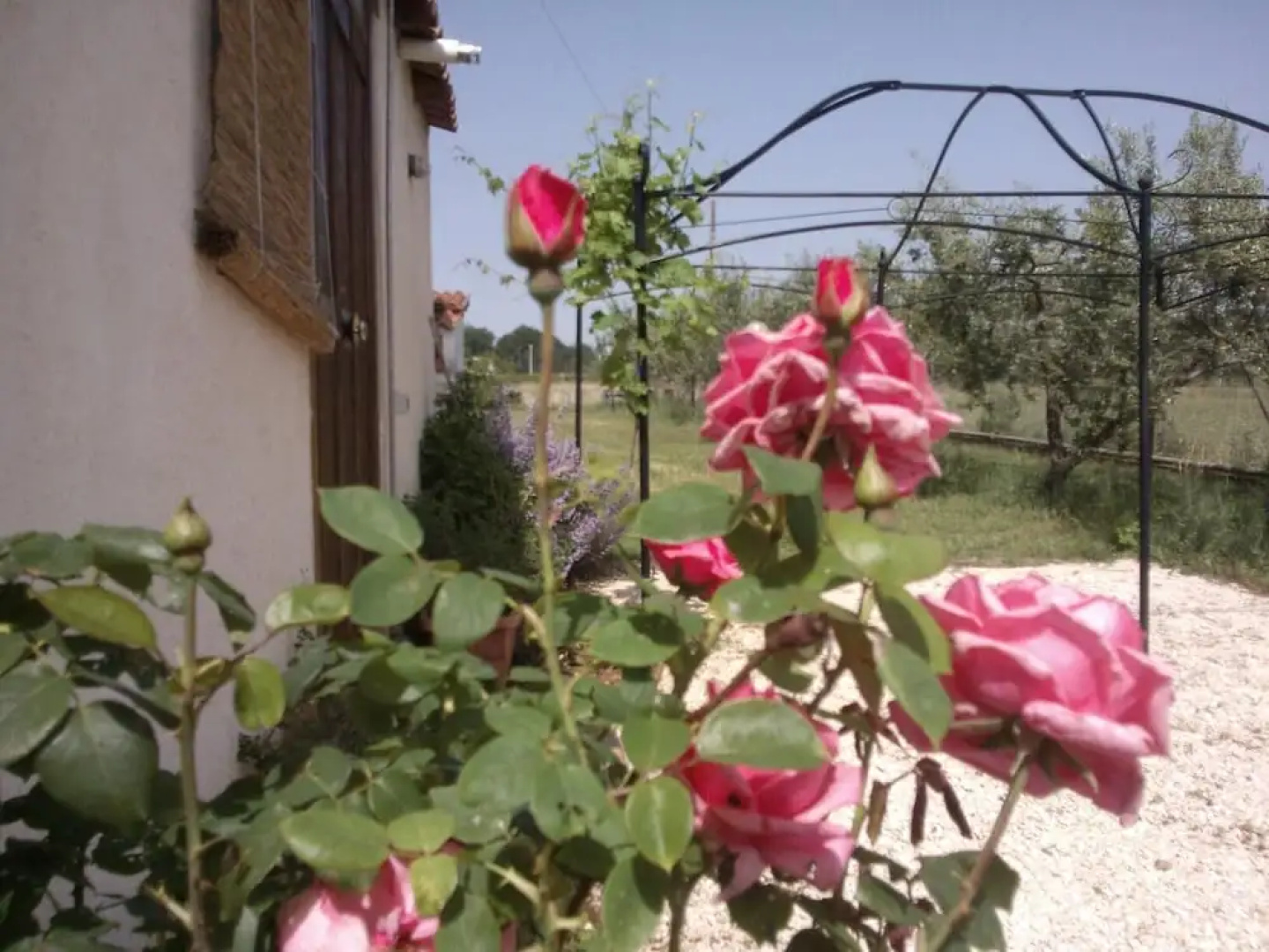 B&B Villa Augusta