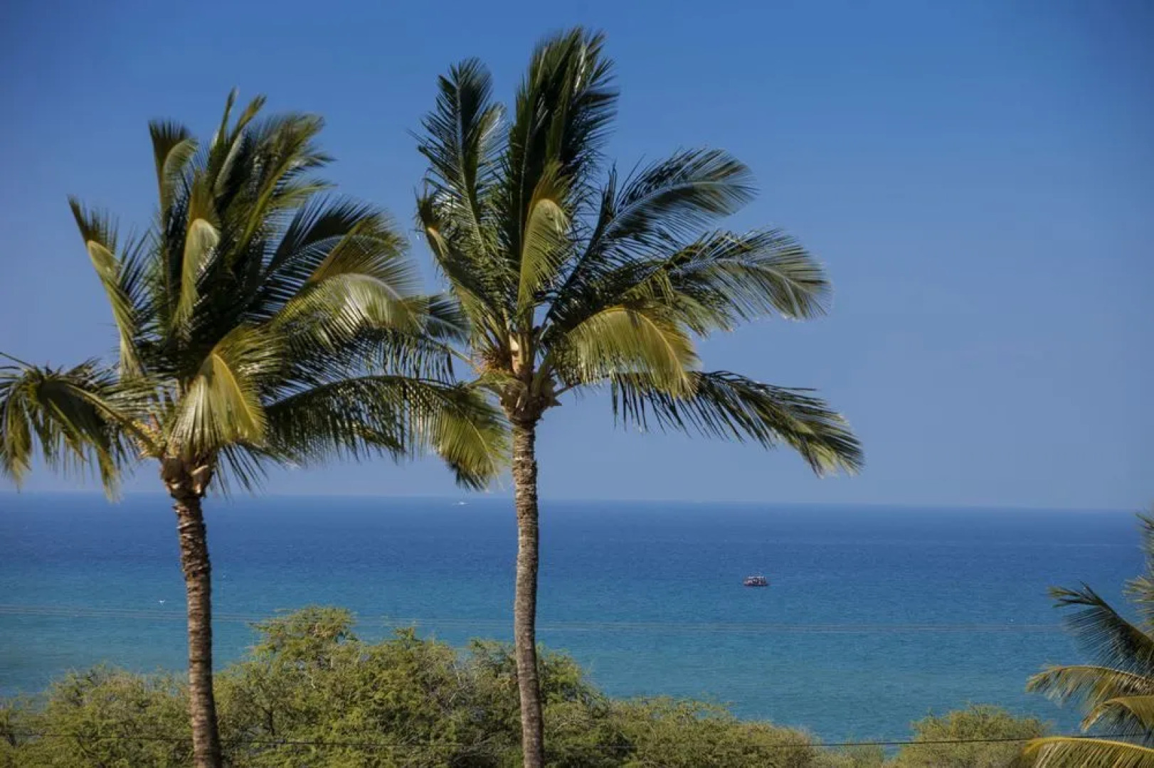 Maui Kamaole C-209 - 2 Br Condo