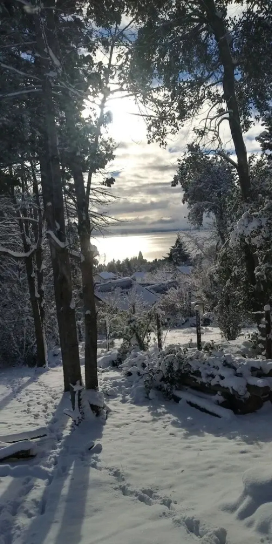 RosaNegra Patagonia