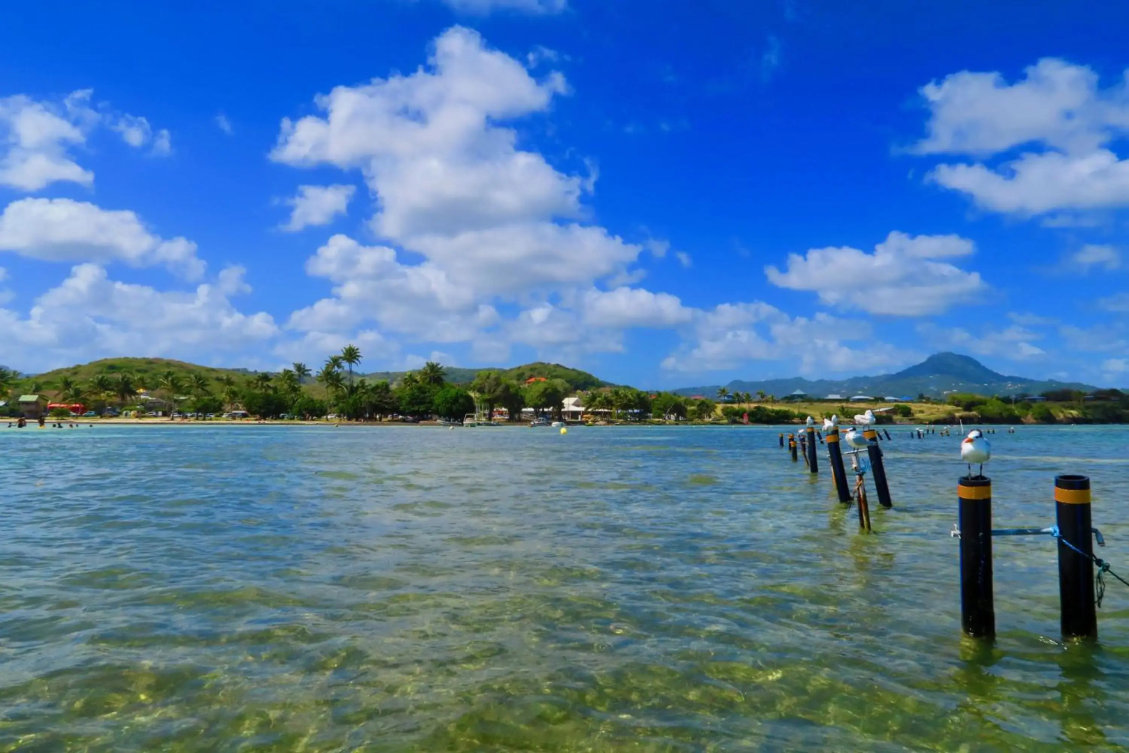 Appartement Papay dans Villa Fleurs des Iles