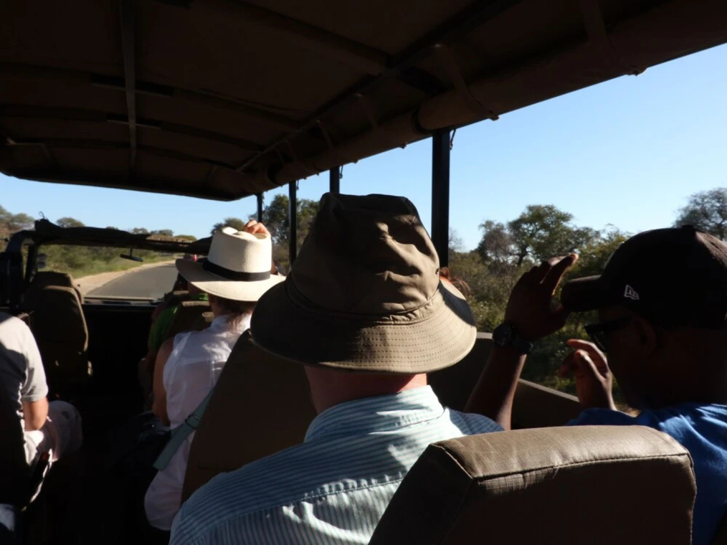 Kruger Park Tours